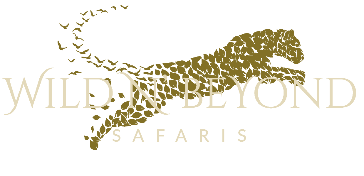 Wild N' Beyond Safaris Logo